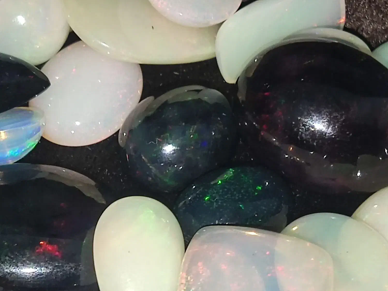 اوپال بلک و سفید|جواهرات|مشهد, امیر|دیوار