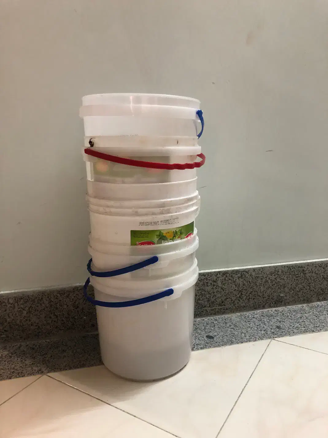 ۵ عدد سطل|ظروف نگهدارنده، پلاستیکی، یک‌بارمصرف|شاهین‌شهر, خبرنگار|دیوار