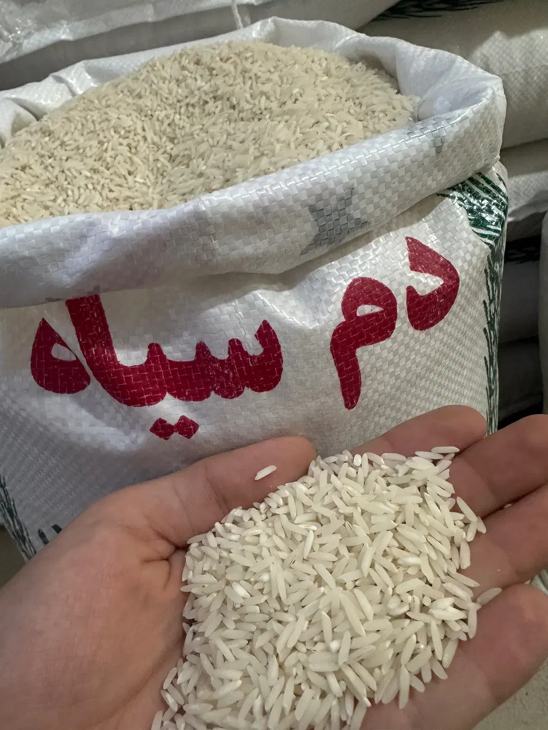 برنجمحلیدمسیاهوفجرسوزنی۹۰روزه|خوردنی و آشامیدنی|گنبد کاووس, |دیوار