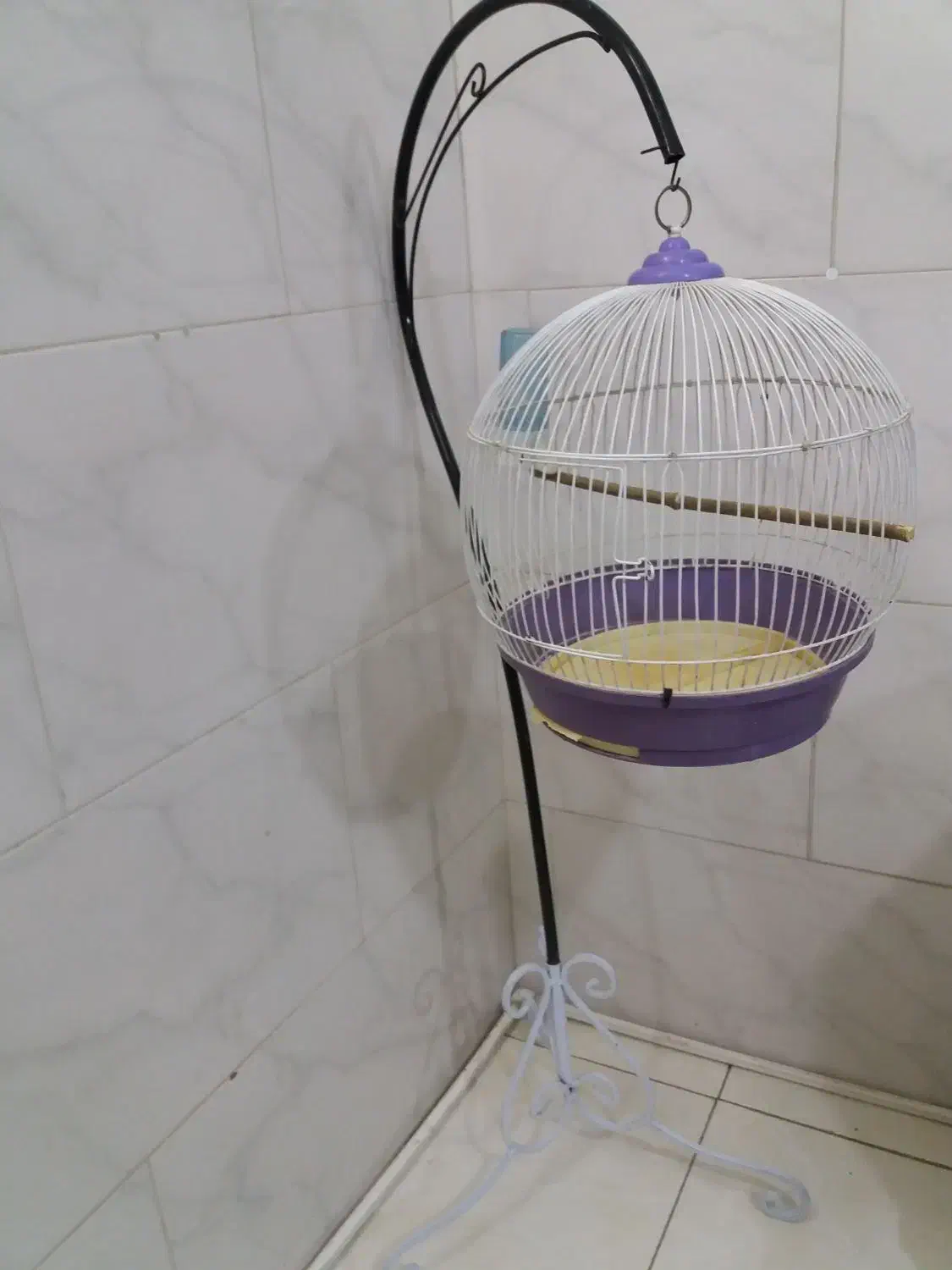 قفس|لوازم جانبی حیوانات|شهریار, شهرک بهاران (ویره)|دیوار