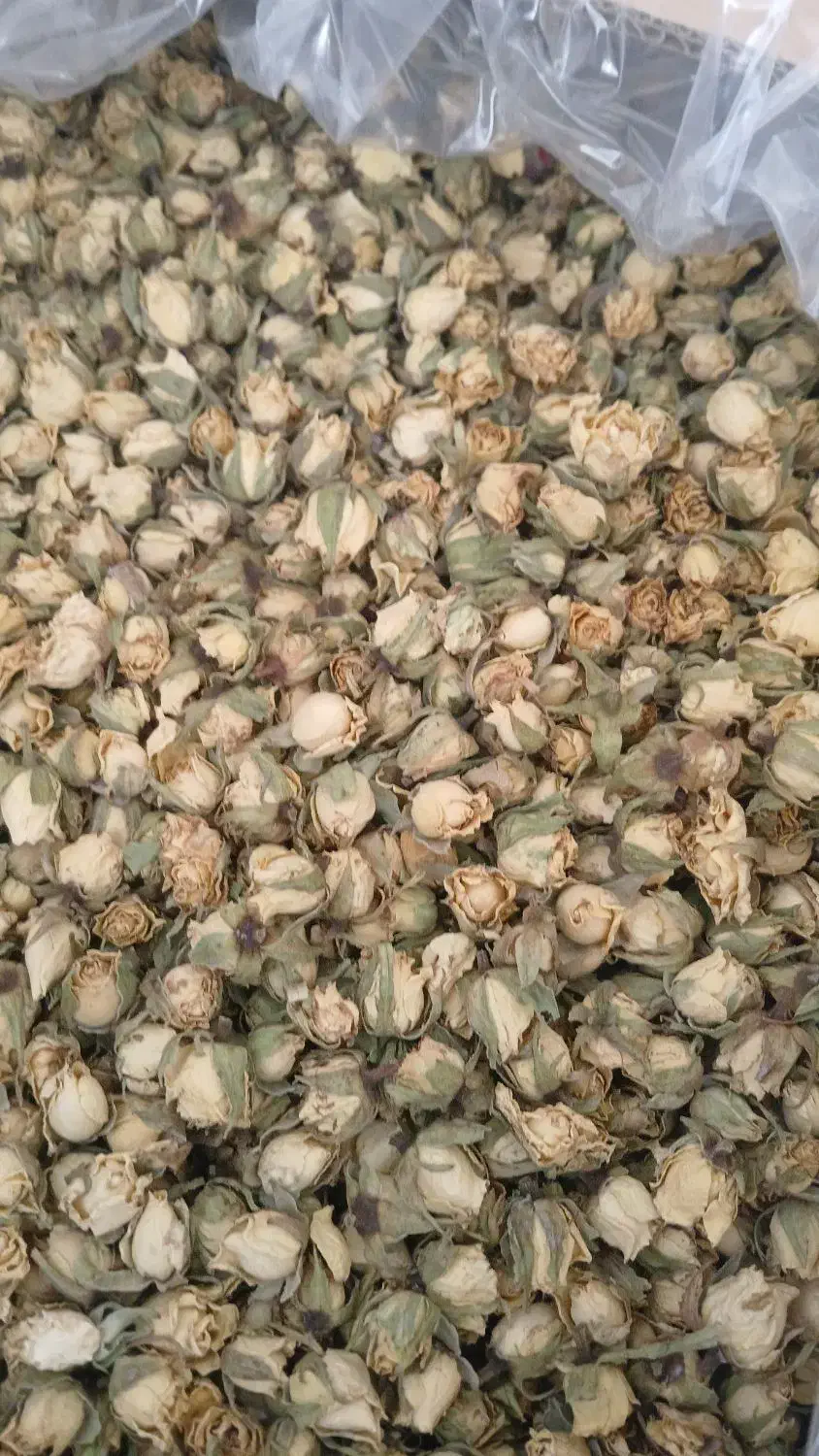 گل خشک رز|عمدهفروشی|محلات, |دیوار