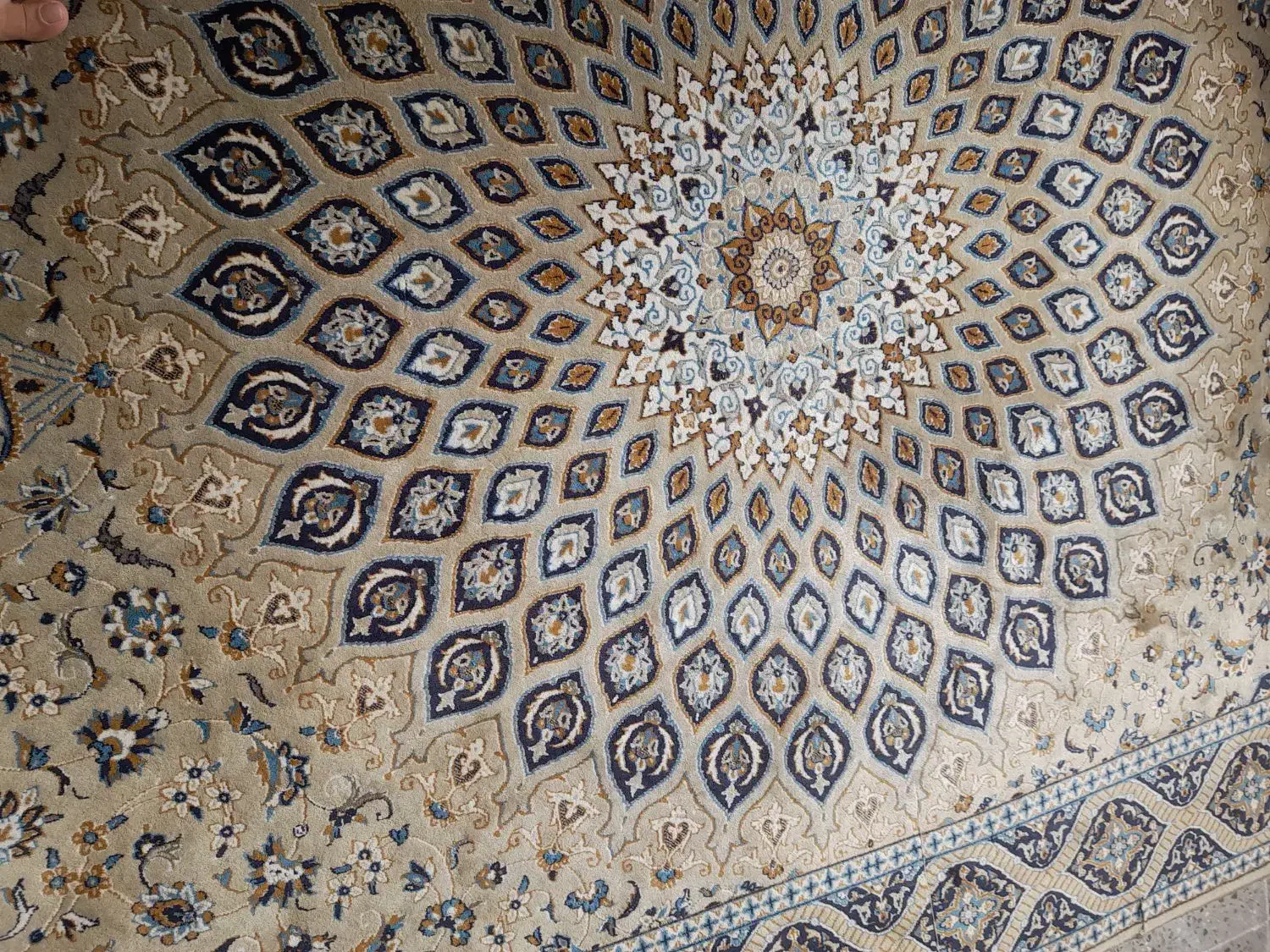 فرش ۶ متری بفروش میرسد|فرش|زاهدان, |دیوار