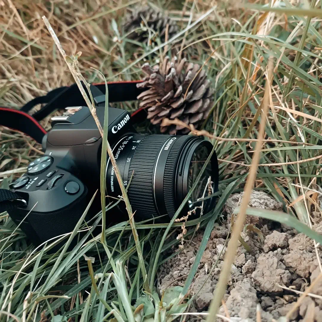 دوربین ۲۵۰دی کنون بسیار کم کار و تمیز|دوربین عکاسی و فیلمبرداری|نیشابور, ریوند|دیوار