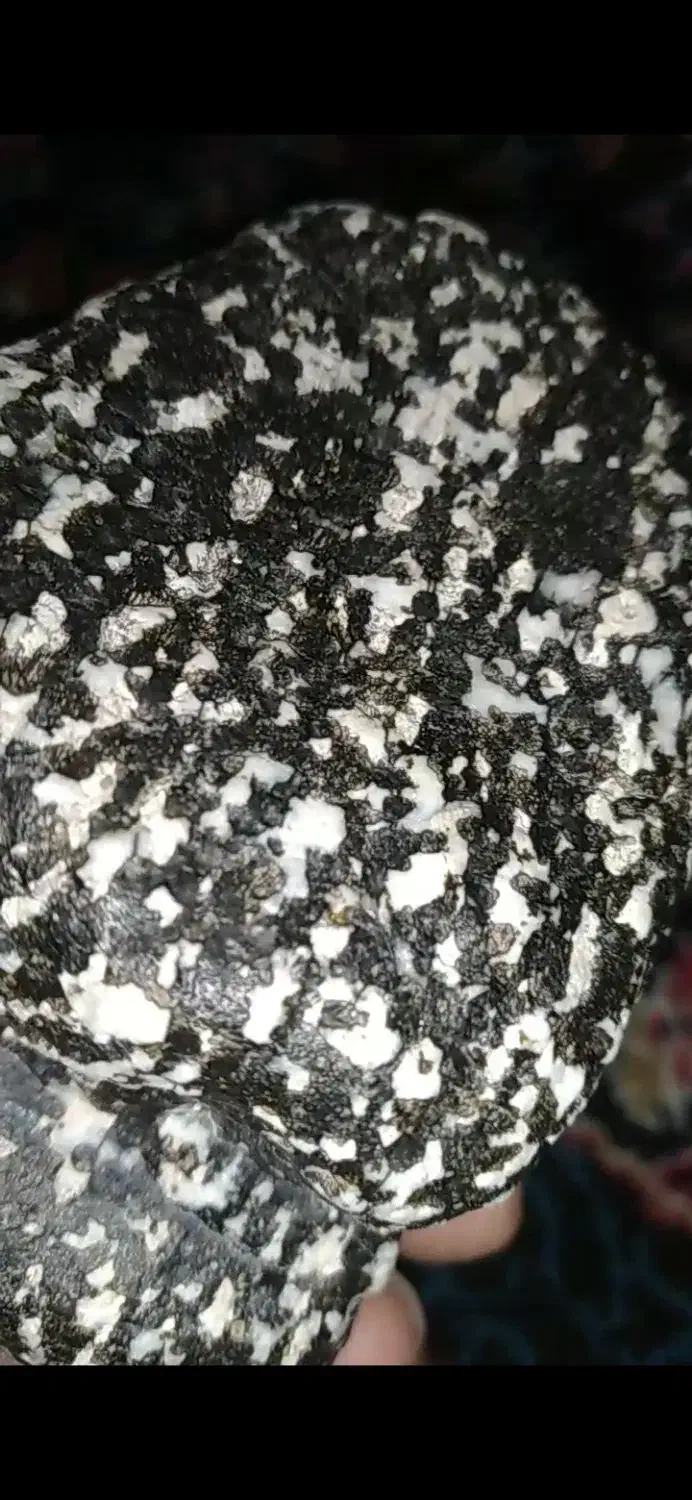 چه سنگی هست این|جواهرات|بمپور, |دیوار