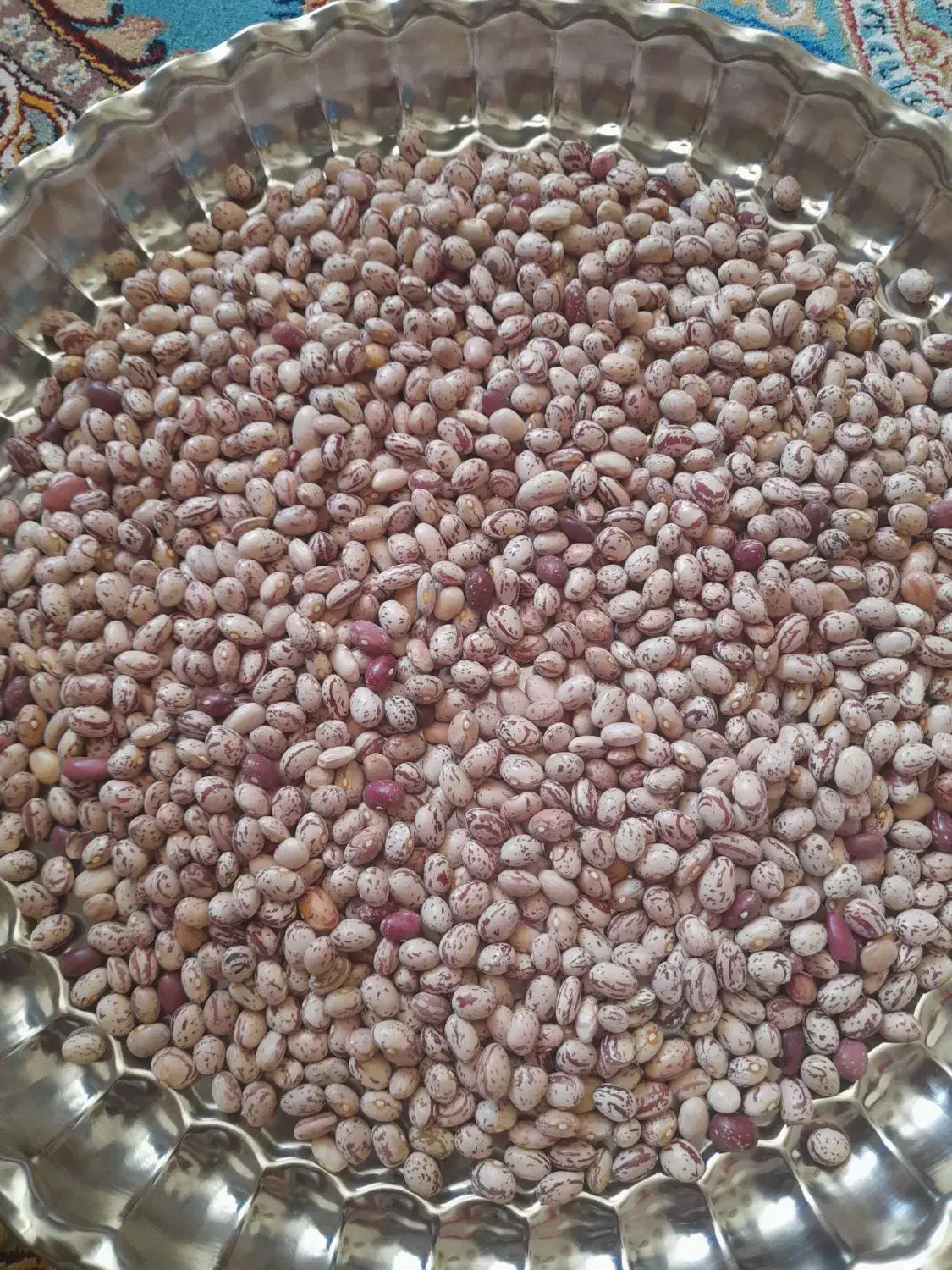 لوبیا چیتی درشت و تمیز فریدونشهر|خوردنی و آشامیدنی|فولادشهر, مسکن مهر فولادشهر|دیوار