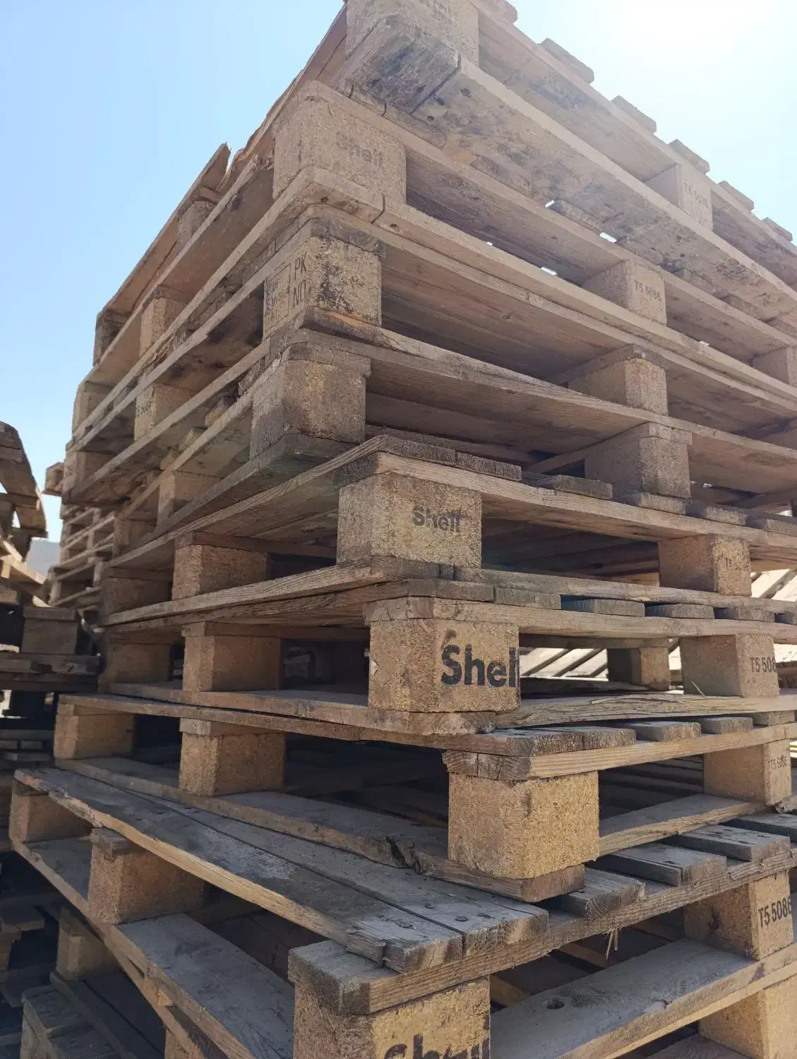 خرید و فروش انواع پالت چوبی|عمدهفروشی|زیباشهر, |دیوار