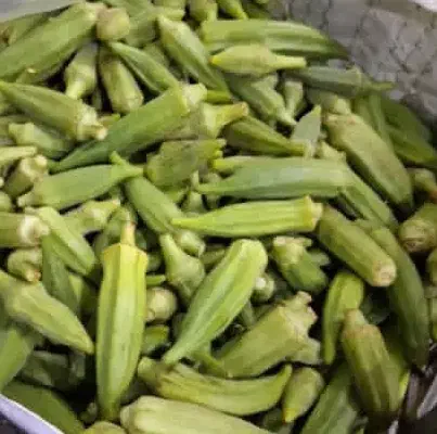 راهنمایی کنید|فعالیت داوطلبانه تحقیقاتی|شیراز, وزیرآباد|دیوار