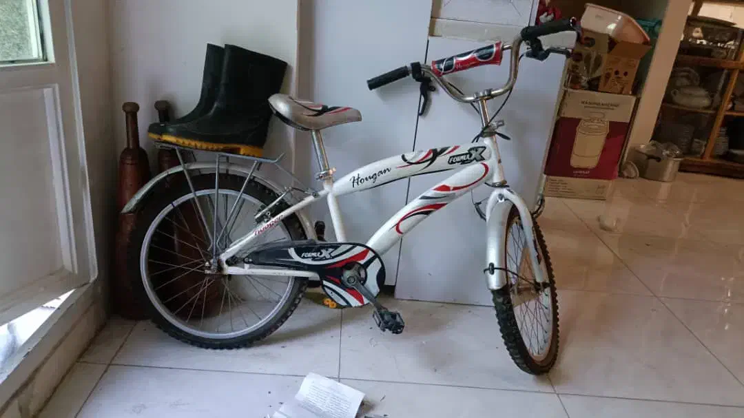 دو چرخه سالم بیست|دوچرخه، اسکیت، اسکوتر|تهران, اسکندری|دیوار