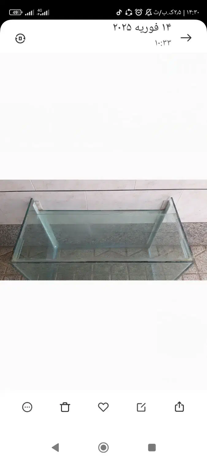 آکواریوم|ماهی|ابریشم, |دیوار