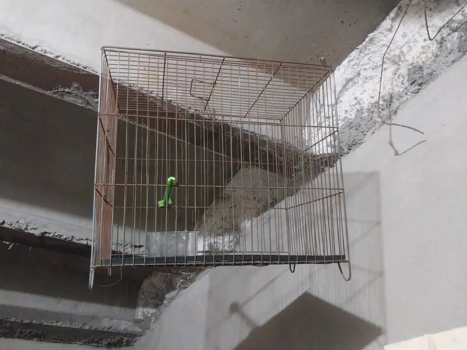 2عدد قفس|لوازم جانبی حیوانات|محمدیه-قزوین, |دیوار