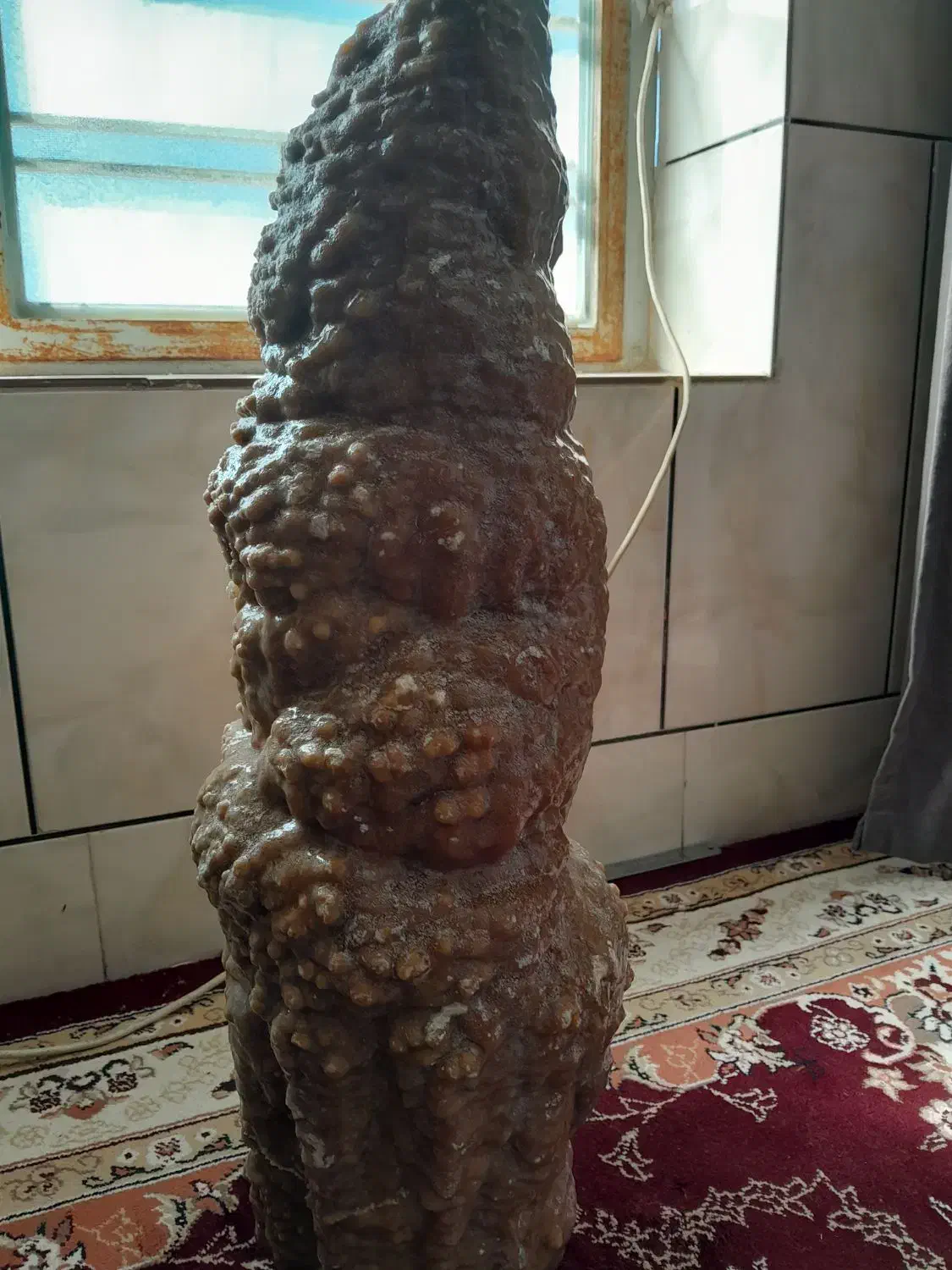 سنگ|جواهرات|مرودشت, مجد آباد|دیوار