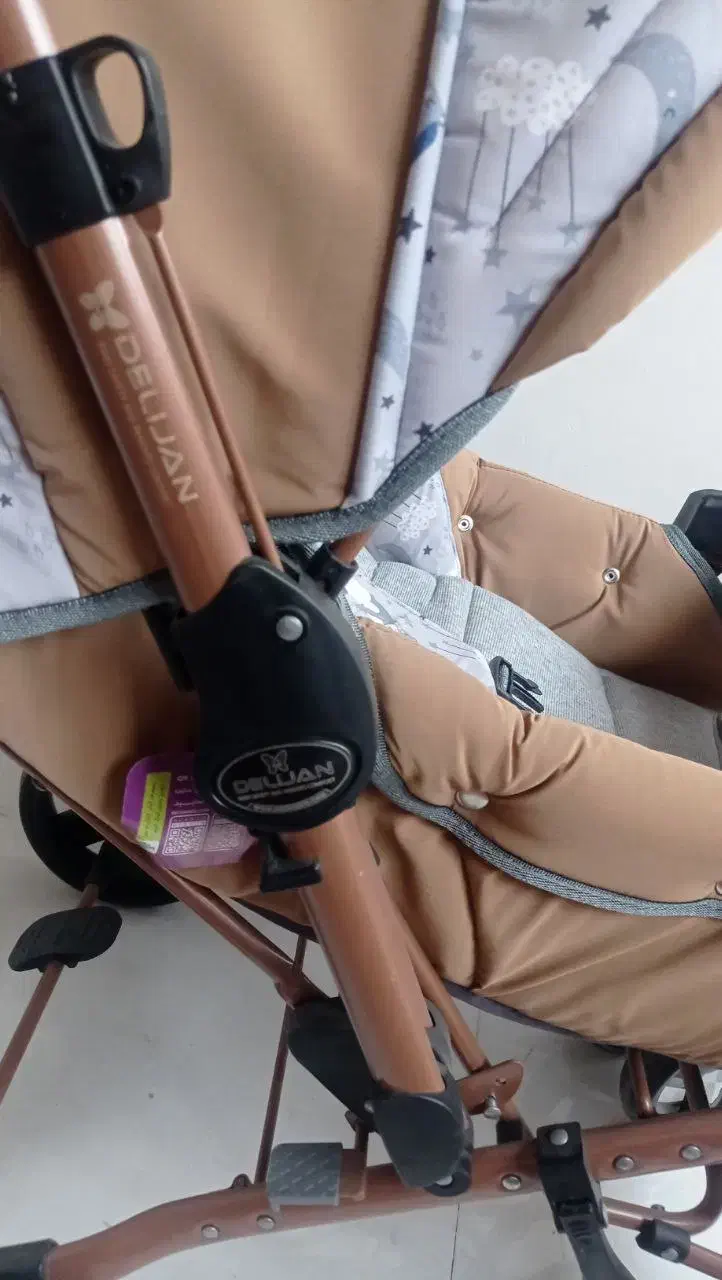 کالسکه دلیجان|کالسکه و لوازم جانبی|کرمان, |دیوار