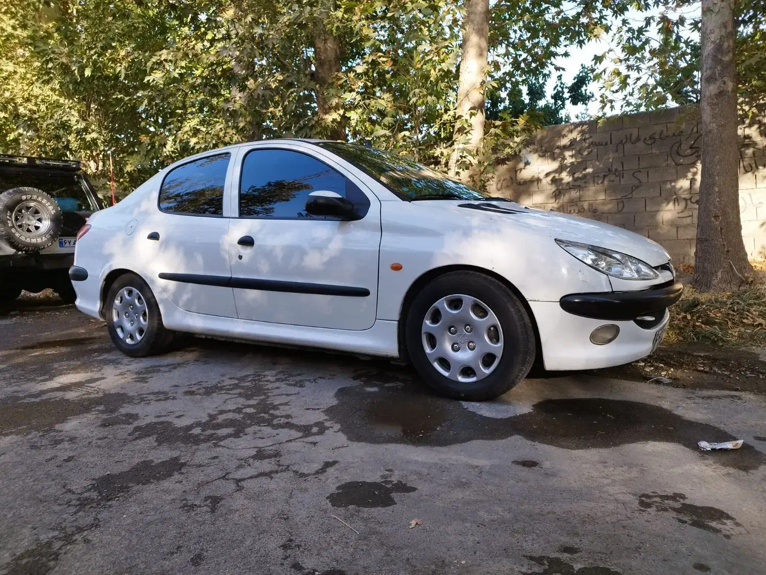 206|خودرو سواری و وانت|مشکین‌دشت, |دیوار