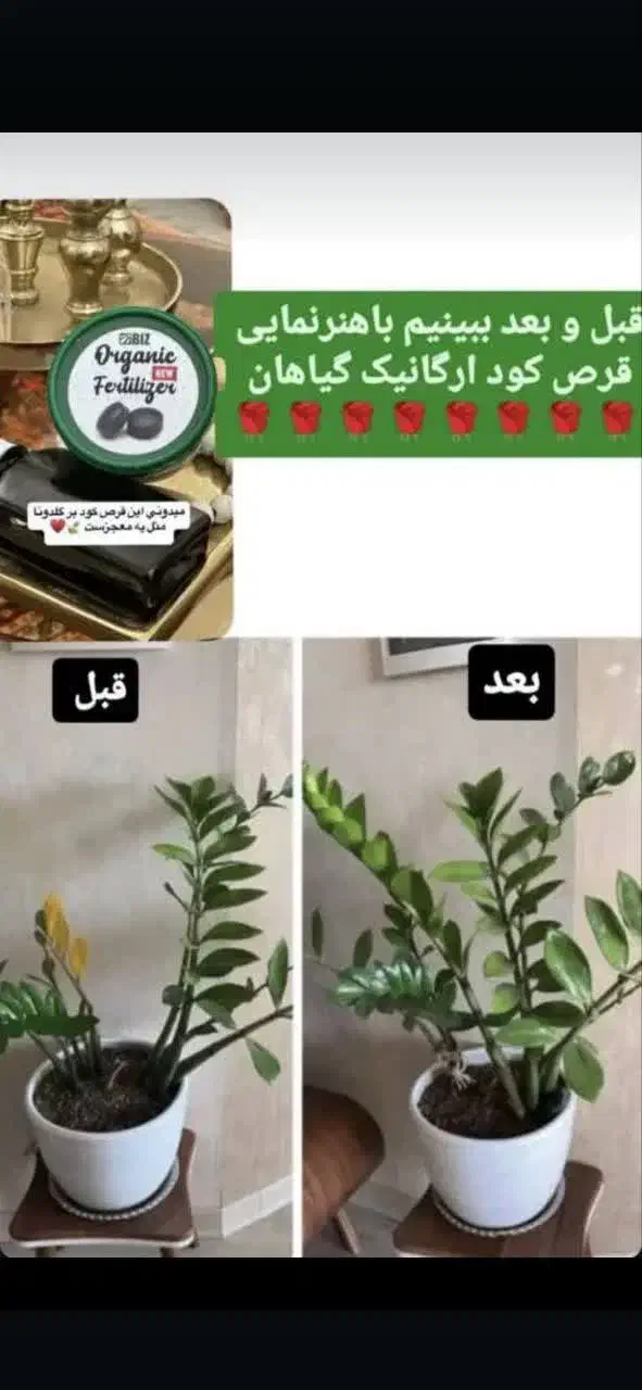با قرص کود ارگانیک خانه خود را گلخانه کنید|گل و گیاه طبیعی|خرمشهر, |دیوار