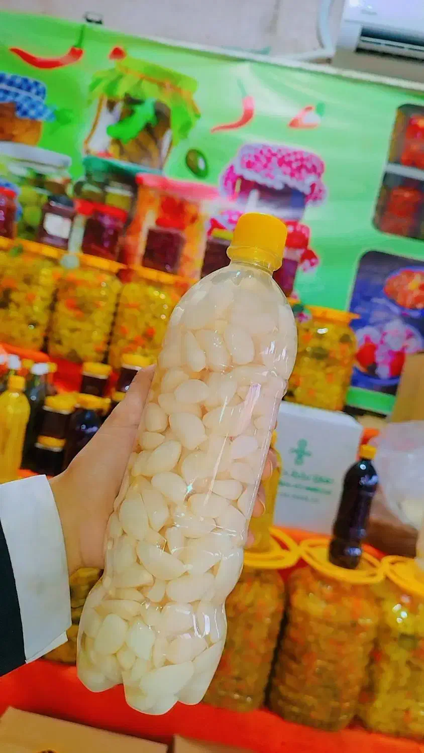 بیبی کورن،سیرصدفی،آلبالو و..|خوردنی و آشامیدنی|قم, یزدان‌شهر|دیوار