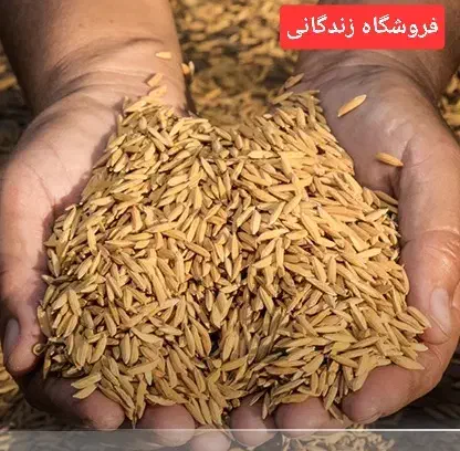 معجزه گری بنام سبوس برنج|خوردنی و آشامیدنی|نیشابور, شهرک فرهنگیان|دیوار