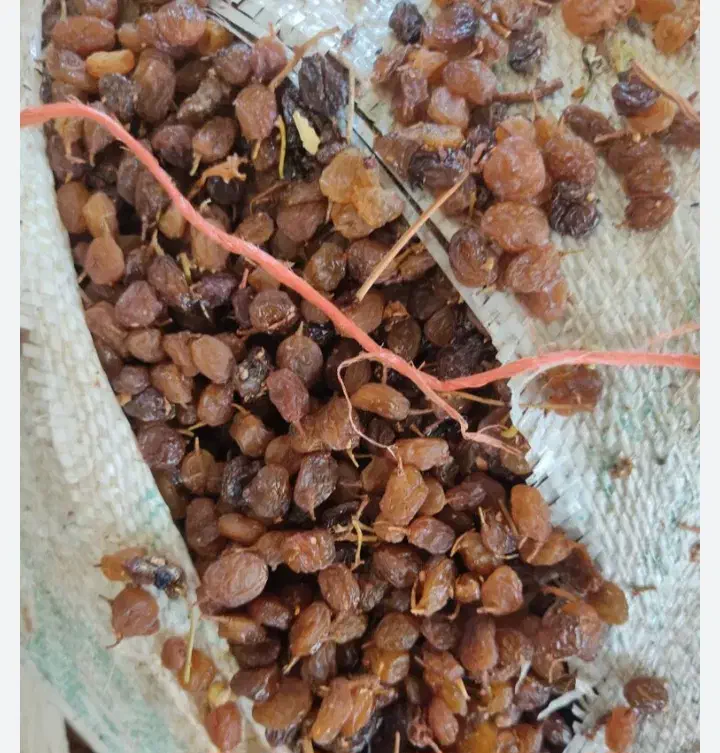 فروش کشمش، پلویی ، تیز آبی و|خوردنی و آشامیدنی|میاندوآب, |دیوار