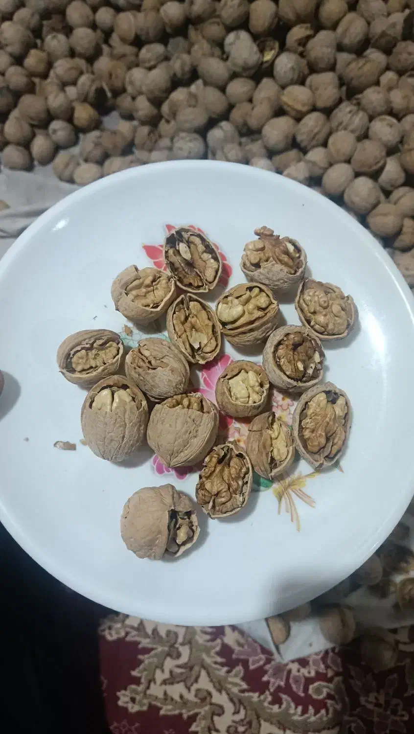 گردو منطقه سامان ،دنبالرودخونه|خوردنی و آشامیدنی|نجف‌آباد, فاز ۳ شهرک آزادگان|دیوار