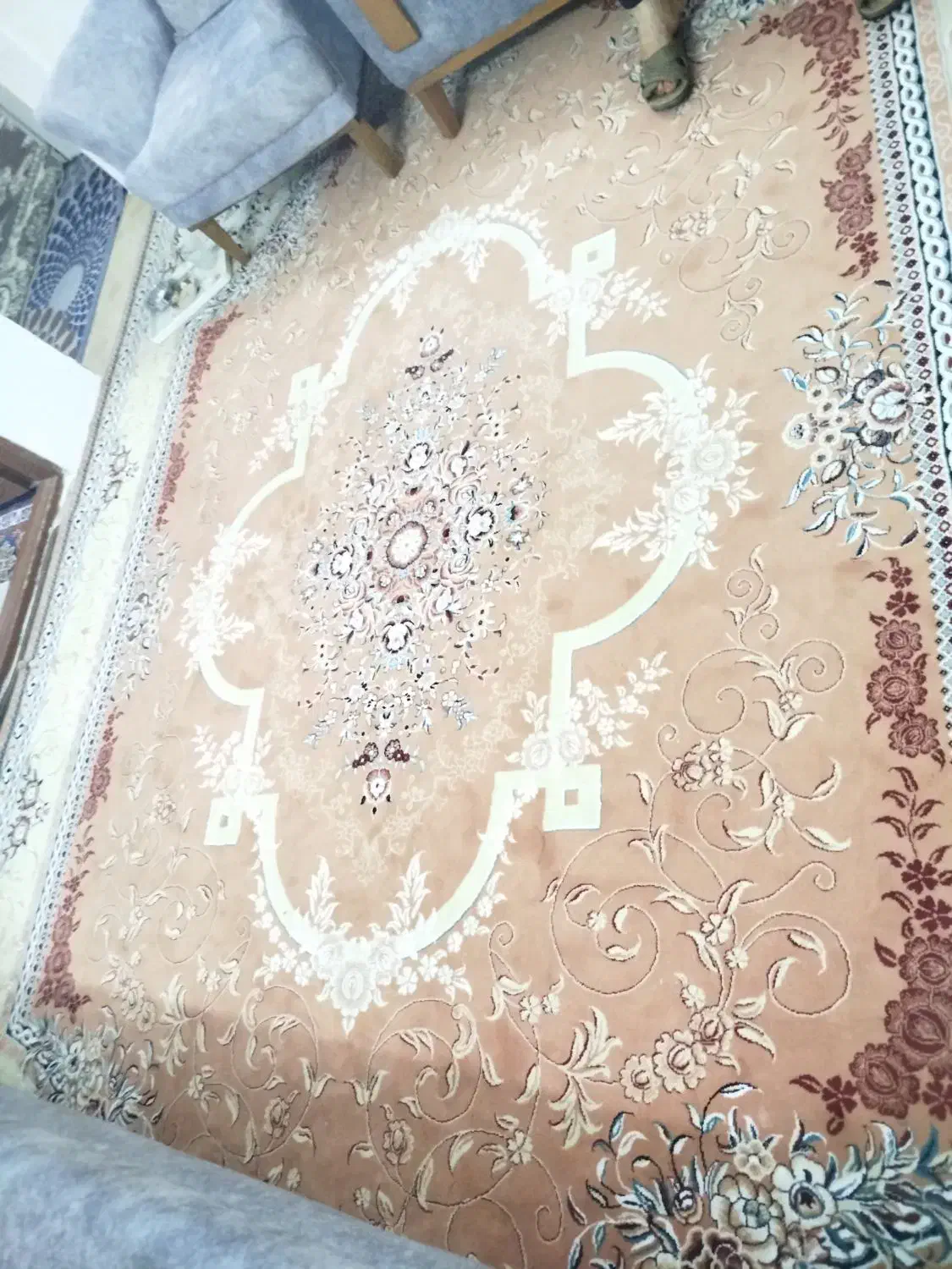 فرش  ۱۲متری|فرش|قائم‌شهر, |دیوار