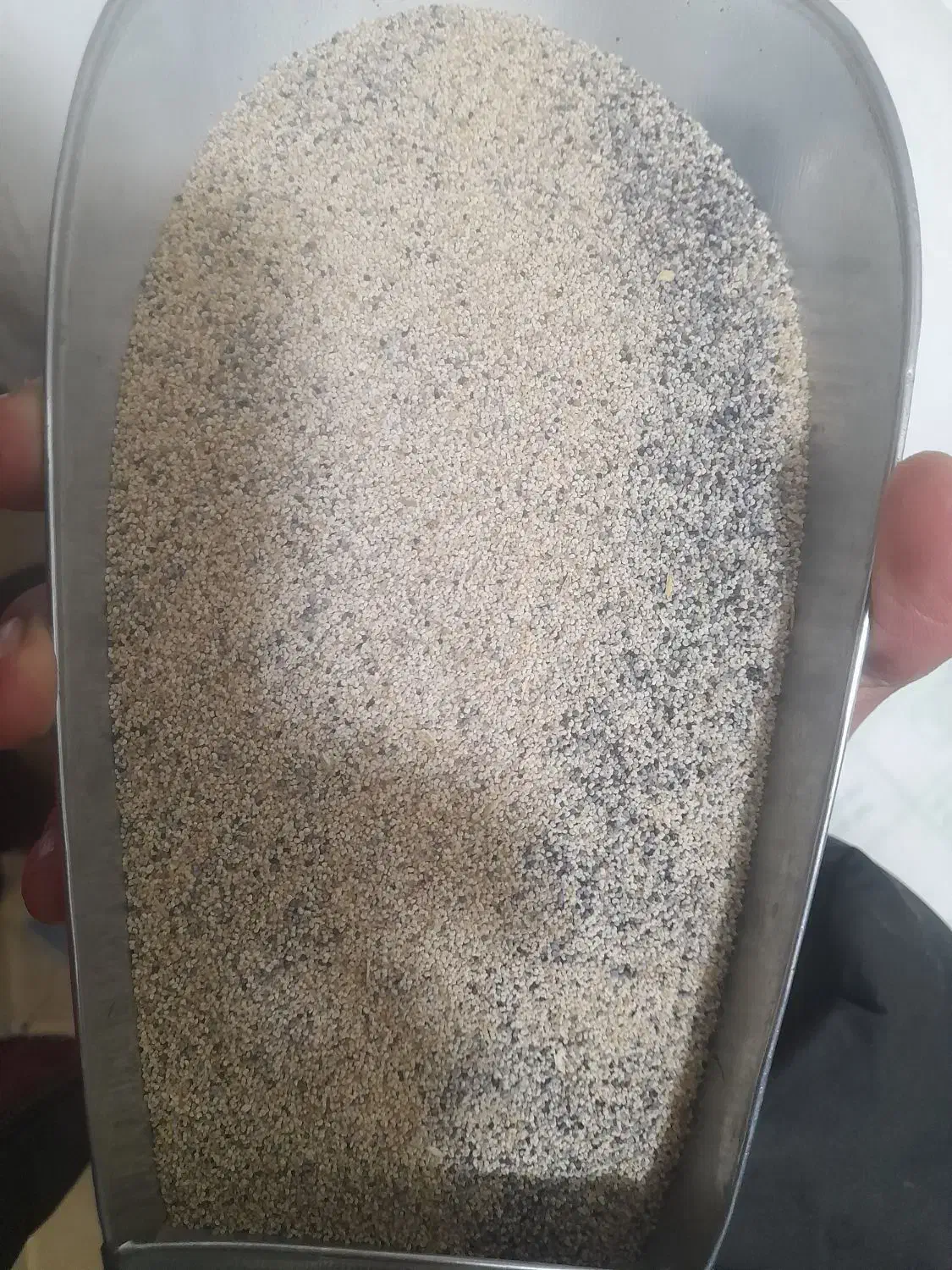 بذر سفید|گل و گیاه طبیعی|کوهدشت, |دیوار