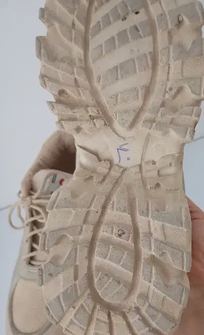 کفش نو|کیف، کفش، کمربند|تربت‌حیدریه, مظفریه|دیوار