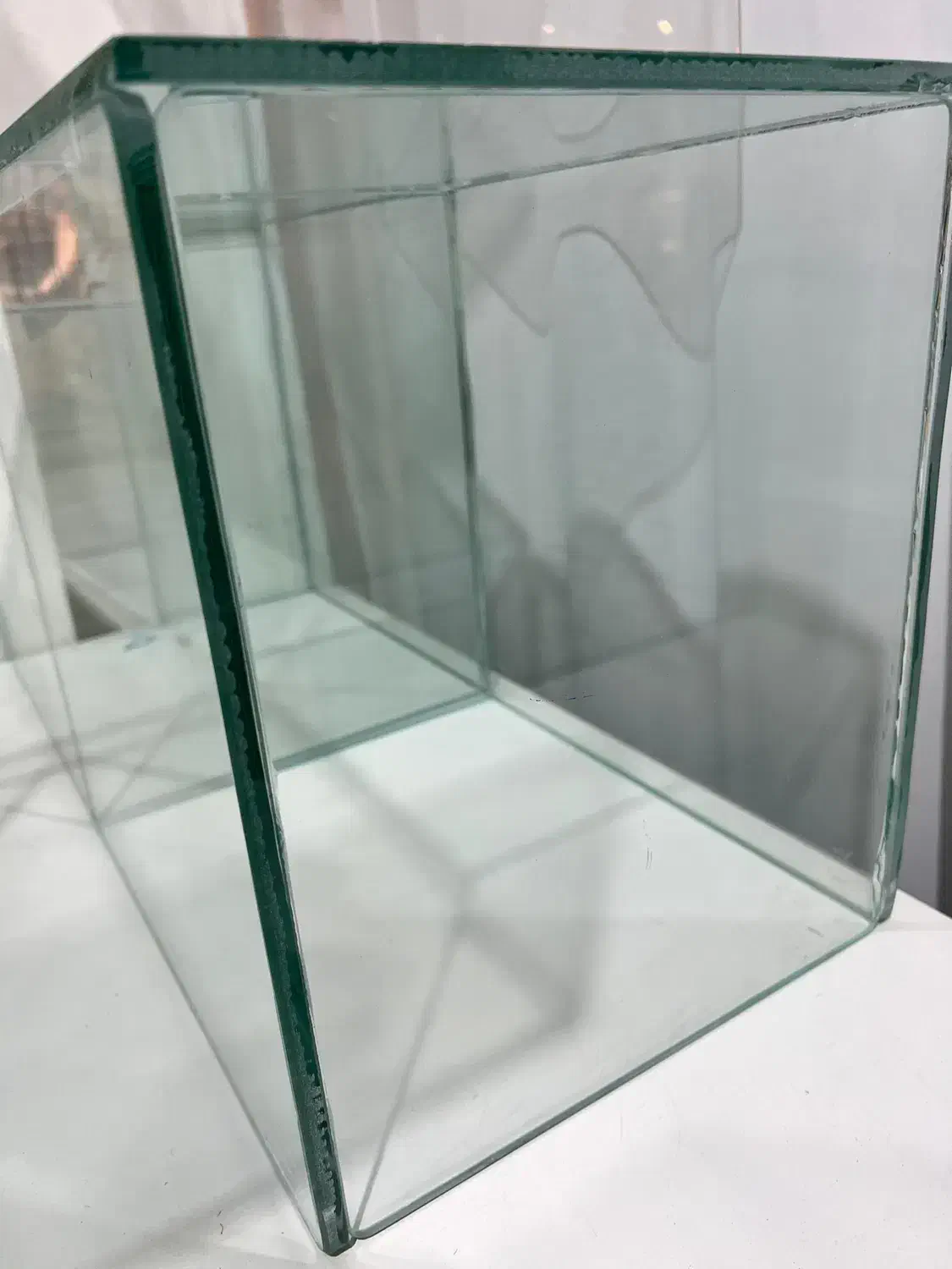 شیشه اگواریم|ماهی|قشم, |دیوار