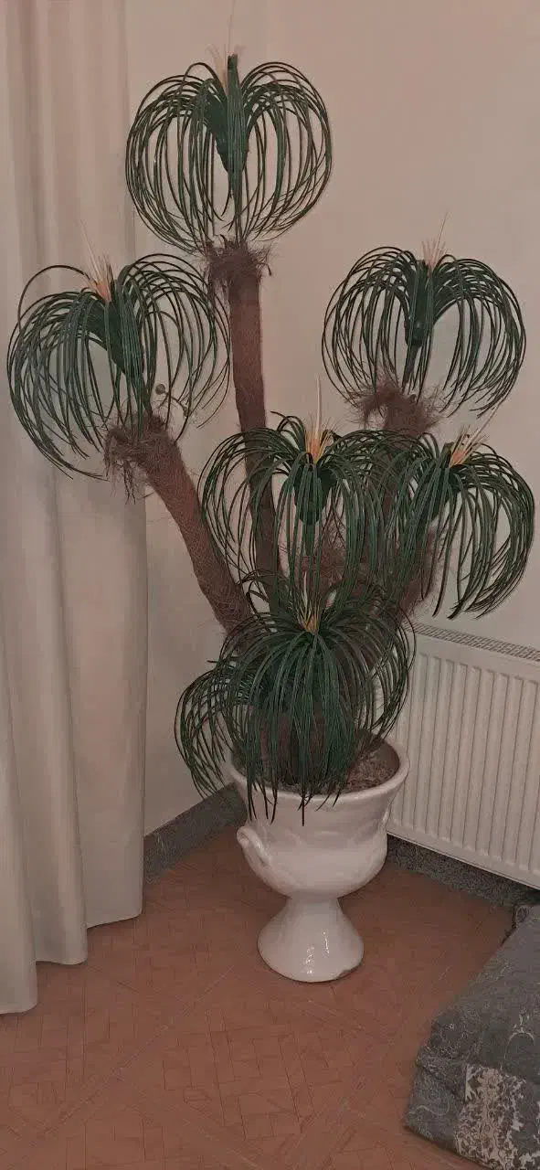 گل وگلدان مصنوعی.بسیارزیبا.|گل مصنوعی|فولادشهر, B4|دیوار