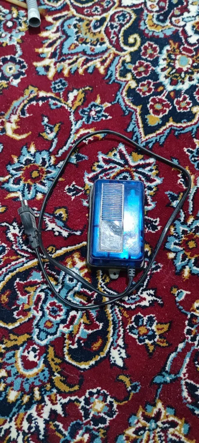 آکواریوم|ماهی|بیرجند, |دیوار