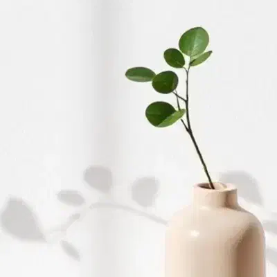 زمین جانبازان۱۲۸متر زیر قیمت فی بفروش میرسد|فروش زمین و ملک کلنگی|تربتحیدریه, اندیشه|دیوار