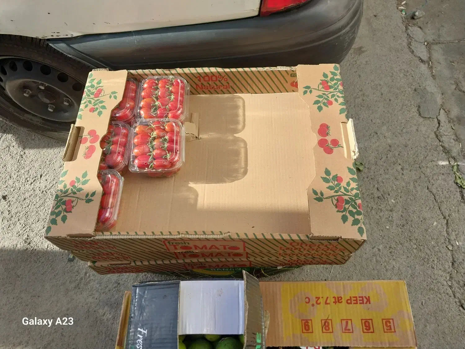 تامین میوه و تره بار ایرانی وخارجی درجه ۱|خوردنی و آشامیدنی|تهران, اوین|دیوار