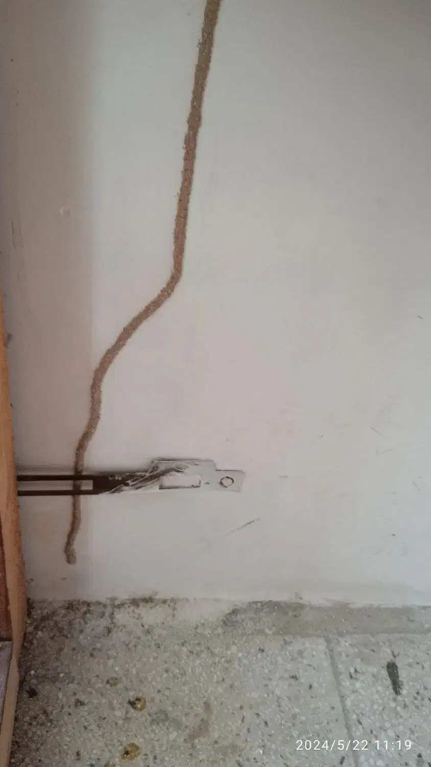 سم پاشی موریانه زدایی آریاگستر،(حسنوند) تضمینی|خدمات نظافت|خرمآباد, |دیوار