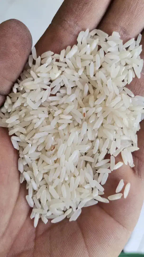 برنج و نیمدانه|خوردنی و آشامیدنی|یزد, |دیوار