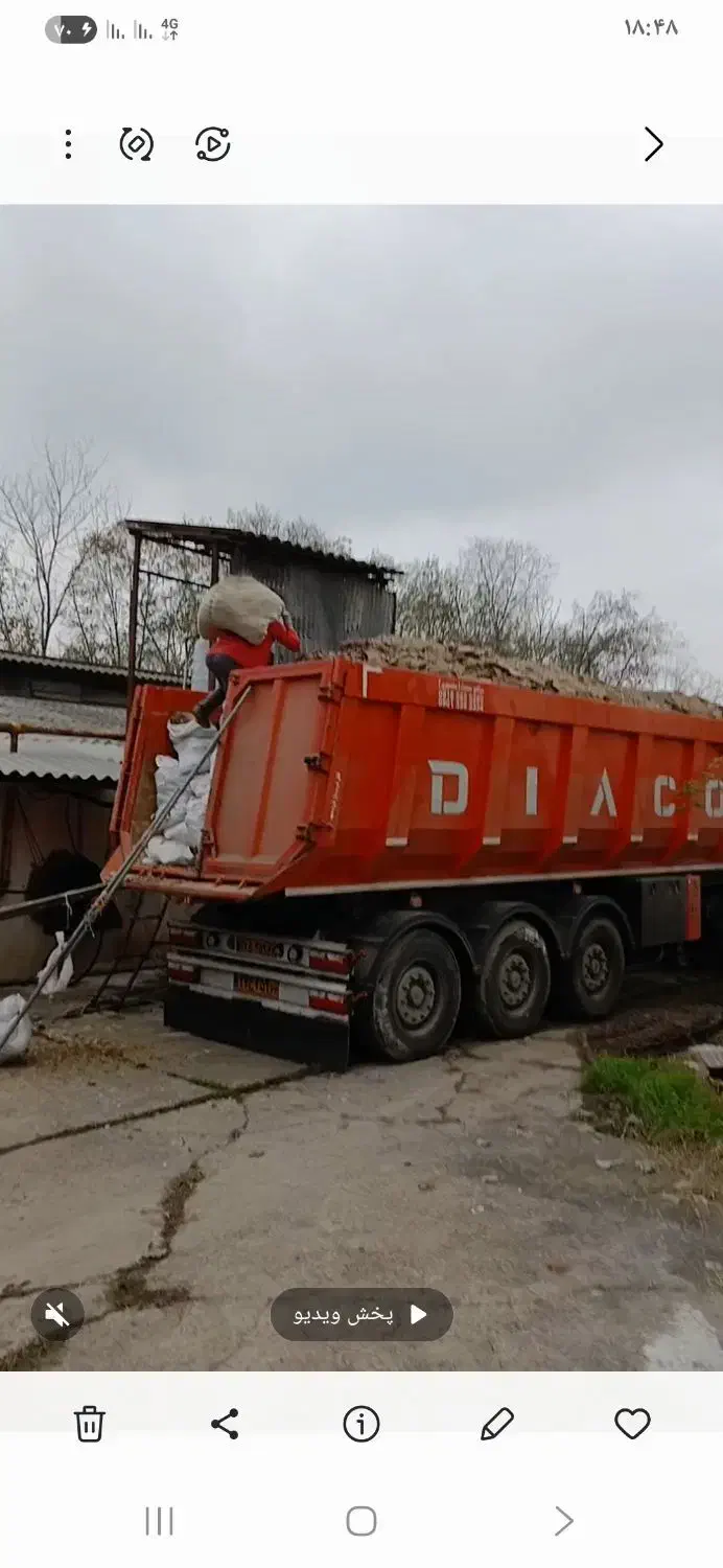 کود مرغ|خدمات باغبانی و درختکاری|رشت, چله خانه|دیوار