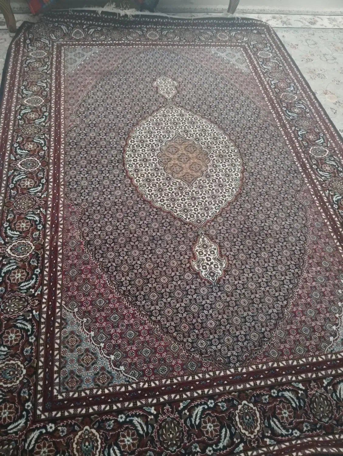 قالی 6متری|فرش|مرودشت, ژیان|دیوار