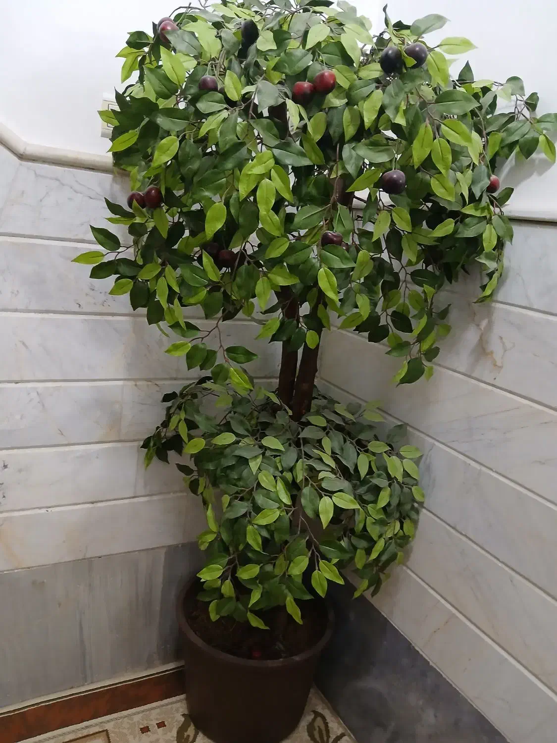 درخت مصنوعی|گل مصنوعی|قم, هنرستان|دیوار