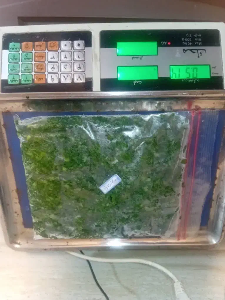 محصولات خانگی مطهر بابهترین کیفیت درخدمت شماست|خوردنی و آشامیدنی|رشت, پیرکلاچای|دیوار