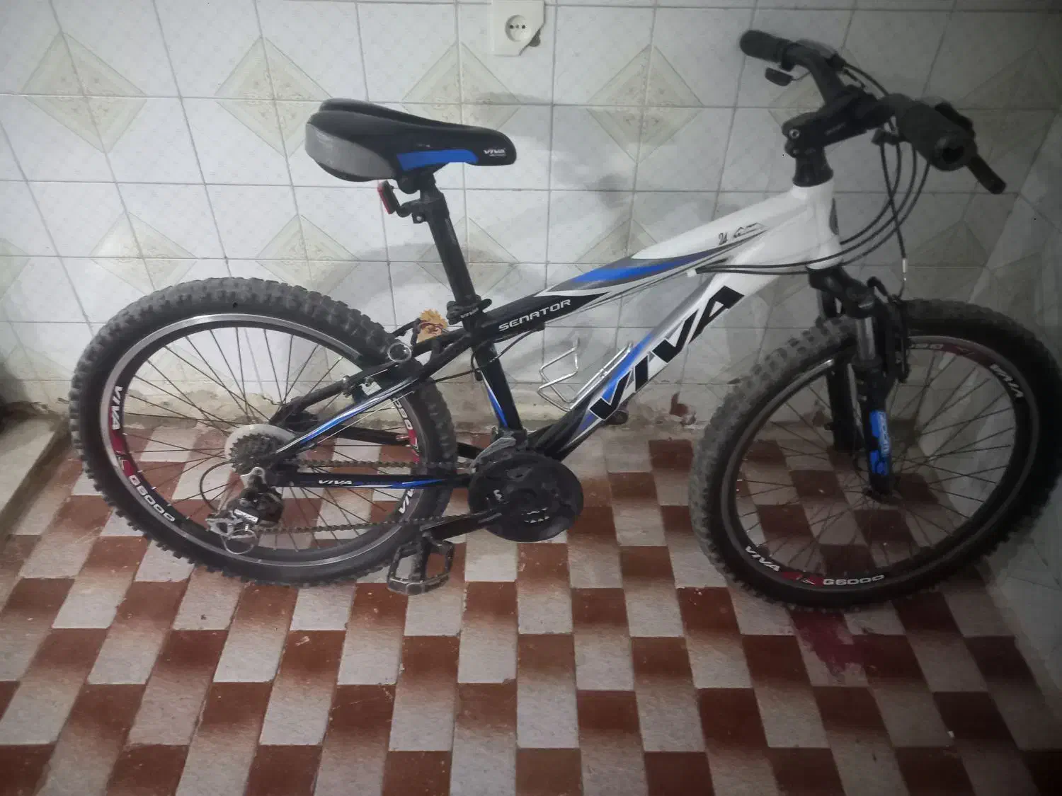 دوچرخه VIVAکوهستان سایز ۲۴|دوچرخه، اسکیت، اسکوتر|یزد, |دیوار