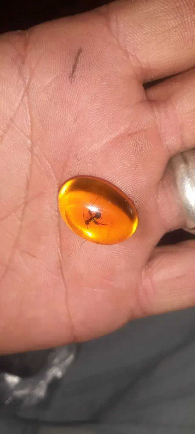 نگین انگشتر کهربا|جواهرات|اردبیل, |دیوار