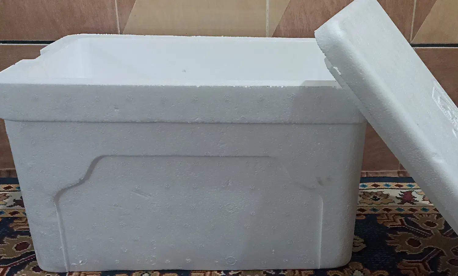 فلاکس ماهی|ظروف نگهدارنده، پلاستیکی، یک‌بارمصرف|رودان, |دیوار