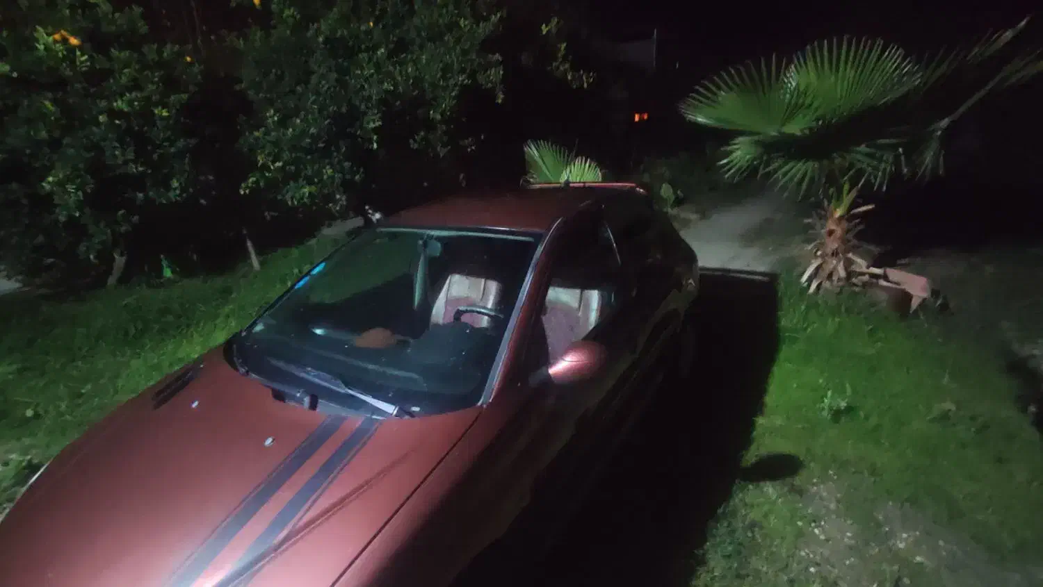 فروش ۲۰۶ تیپ ۳مدل ۸۵ شکلاتی خوشگل|خودرو سواری و وانت|کردکوی, |دیوار