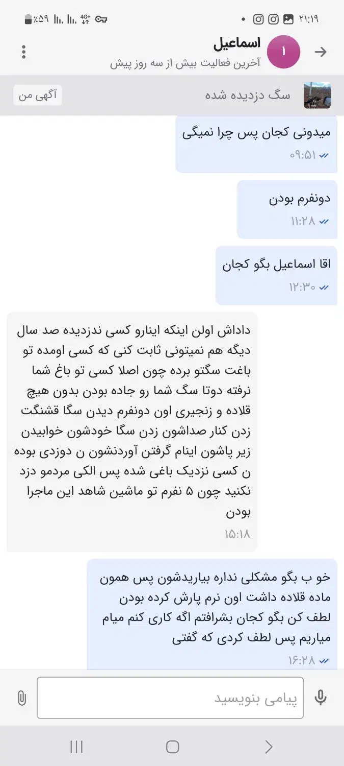 سگ دوزدیده شده|حیوانات|سنقر, |دیوار