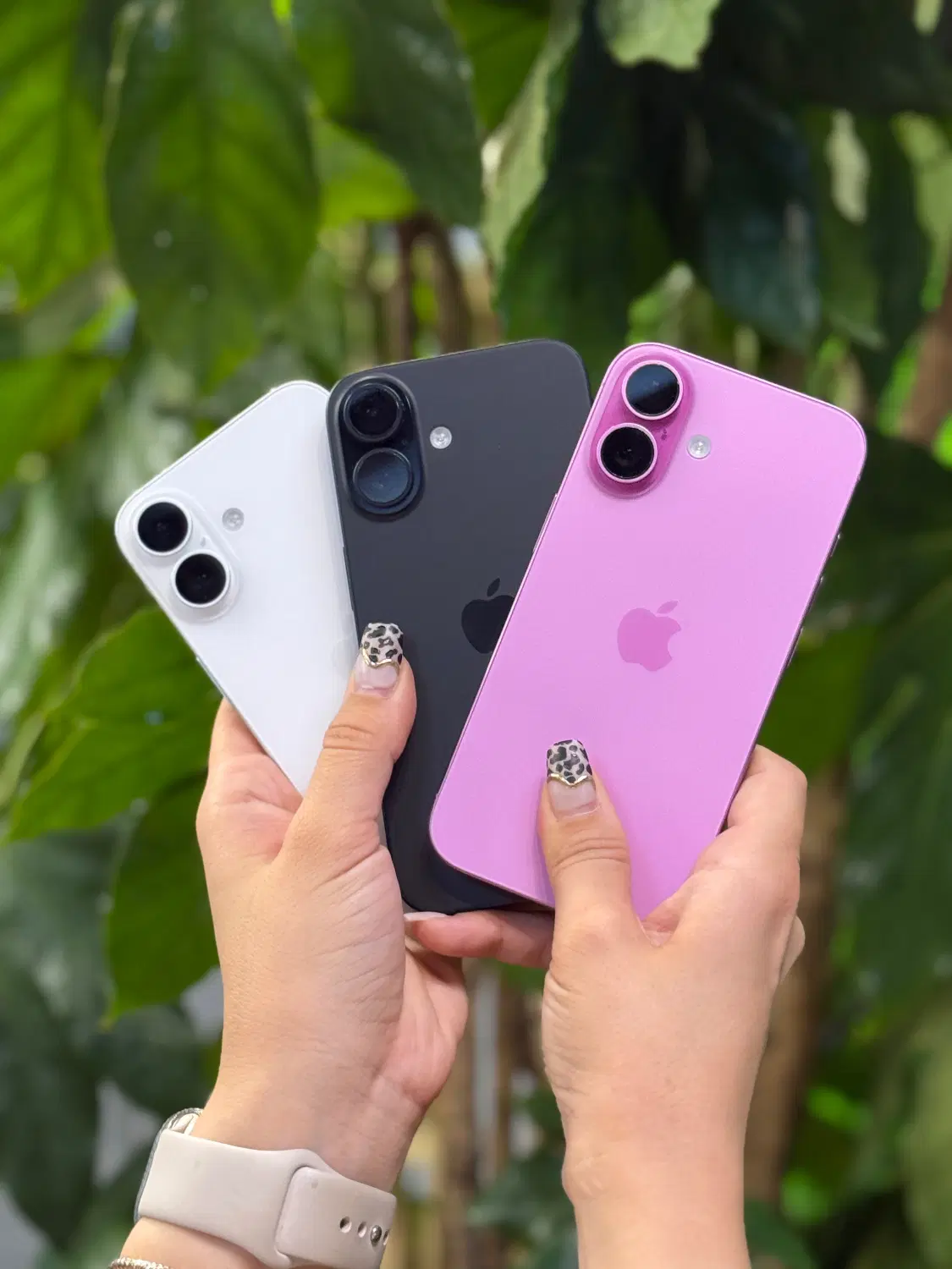 ایفون ۱۶ نرمال iPhone 16 normal|موبایل|تهران, سیمای ایران|دیوار
