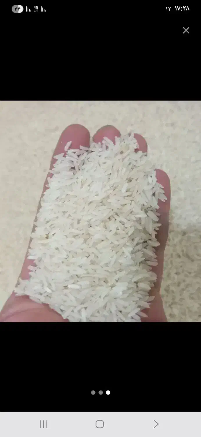 برنج ایرانی طارم فجر|خوردنی و آشامیدنی|یزد, |دیوار