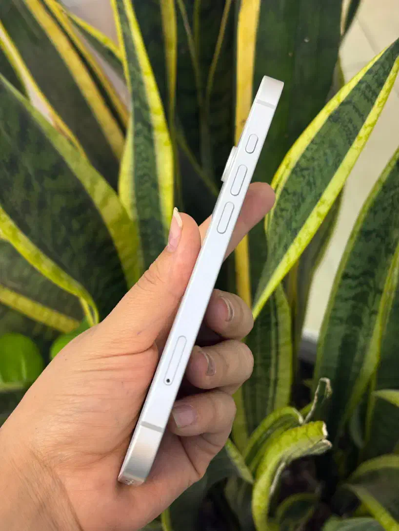 iPhone16e /128g/تک سیم با ریجستر|موبایل|اصفهان, احمدآباد|دیوار