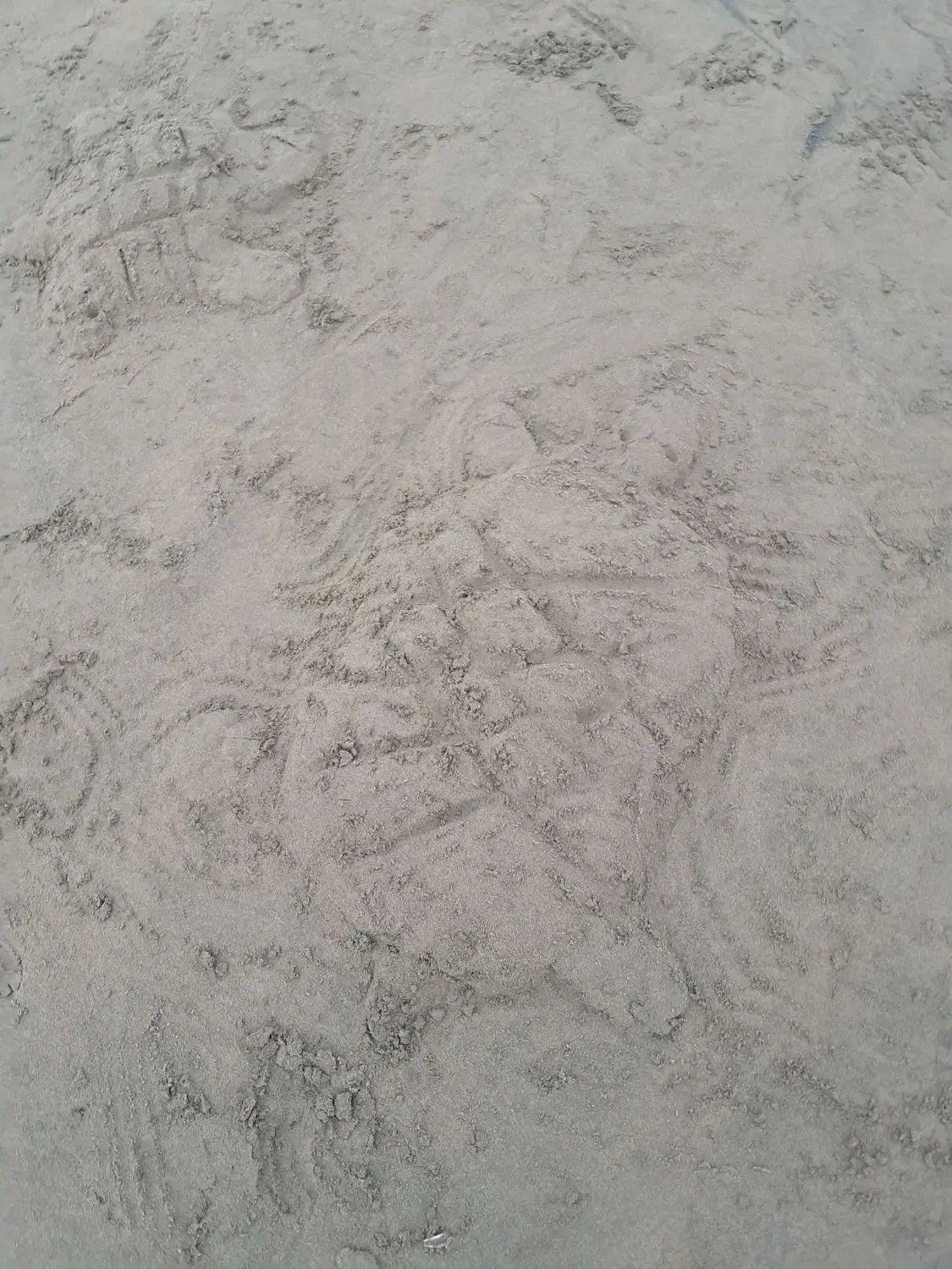 زمین کارگاهی|فروش زمین و ملک کلنگی|تیران, |دیوار