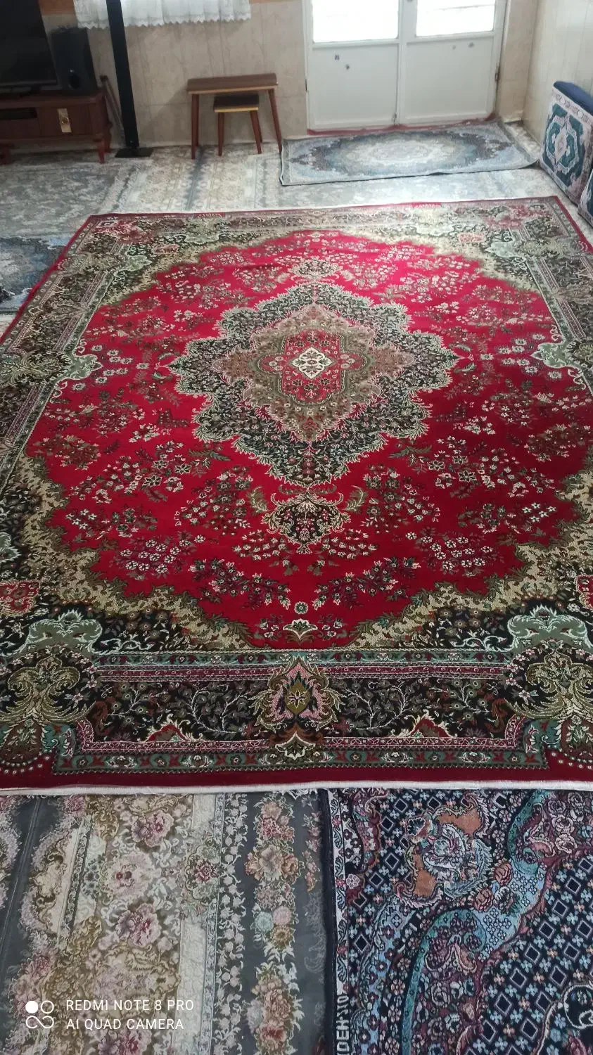 فرش دوازده متری|فرش|بروجرد, |دیوار