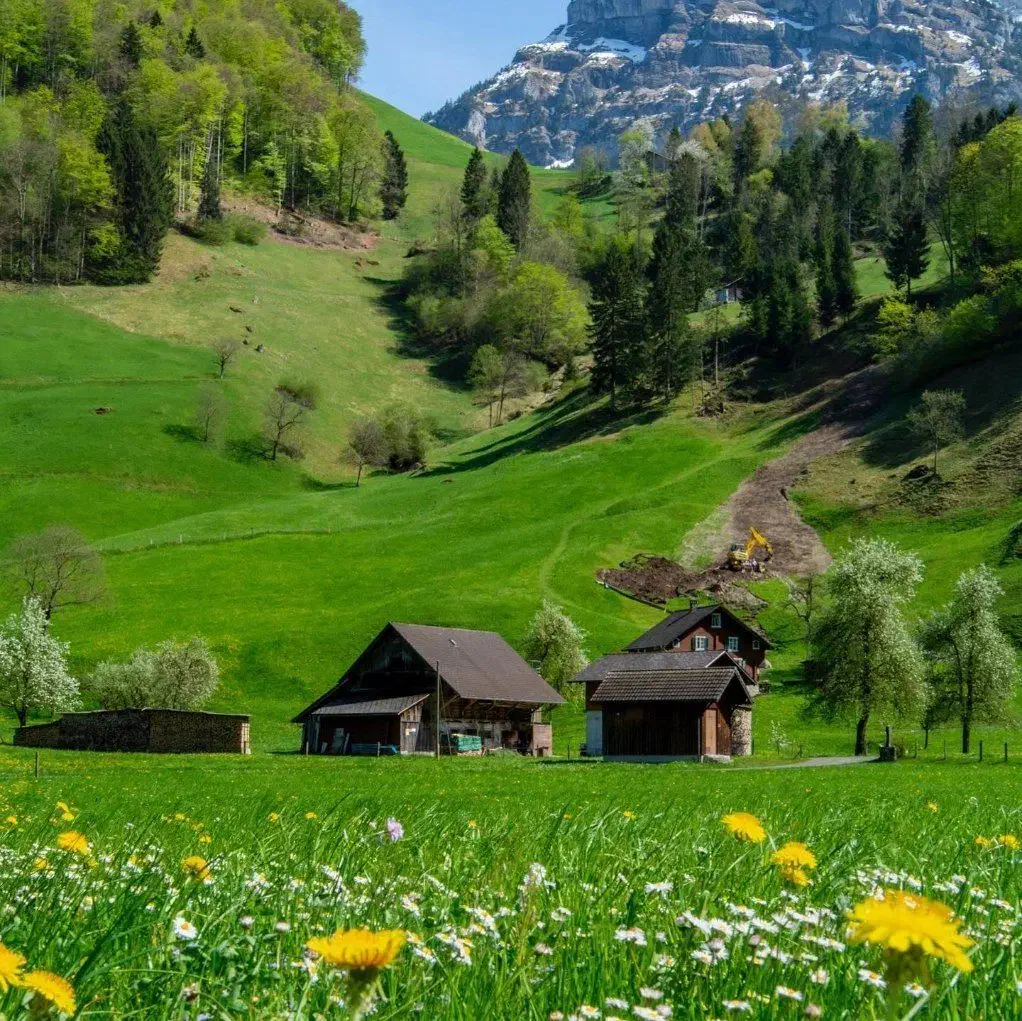 زمین|فروش زمین و ملک کلنگی|خزل, |دیوار