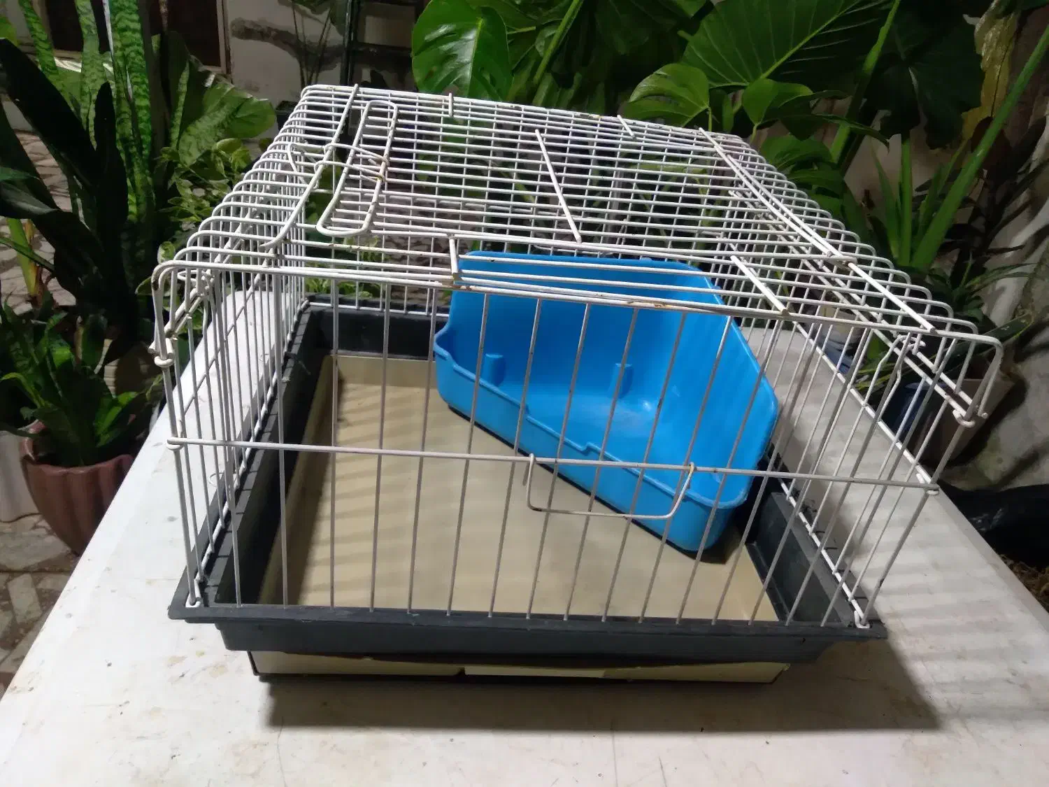 ققفس|لوازم جانبی حیوانات|رشت, علی آباد|دیوار