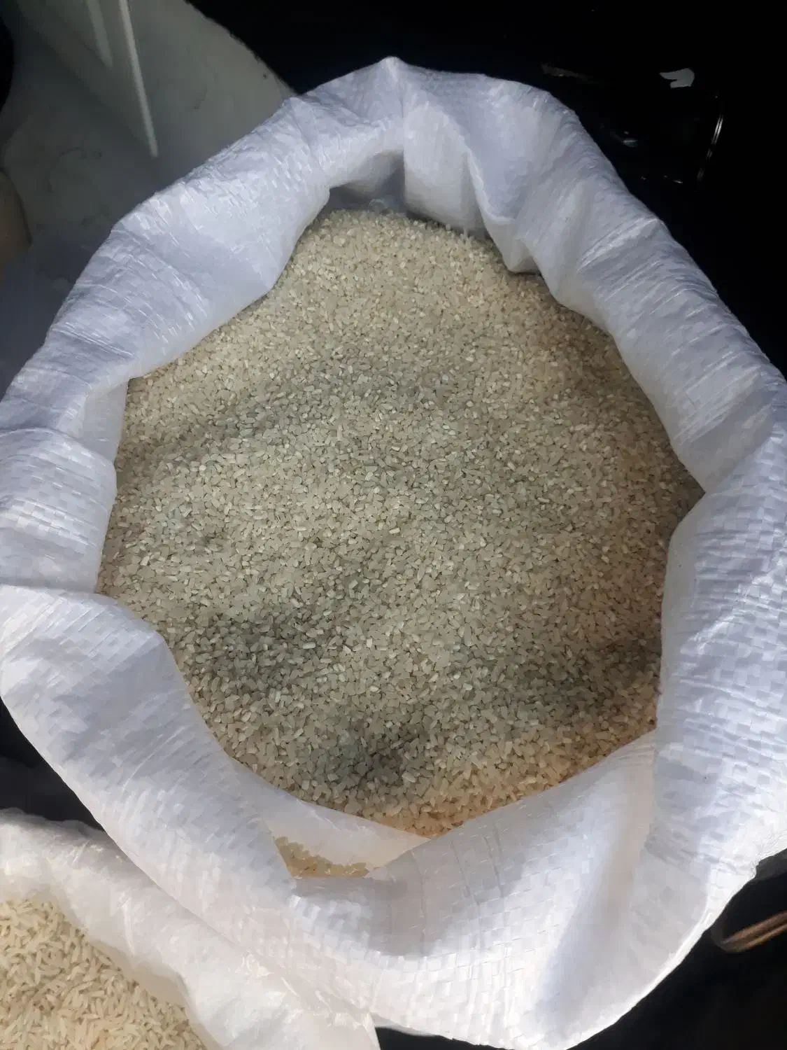 گردوکلات برنج ایرانی طارم وسرلاشه|خوردنی و آشامیدنی|تربت‌حیدریه, کاشانی|دیوار