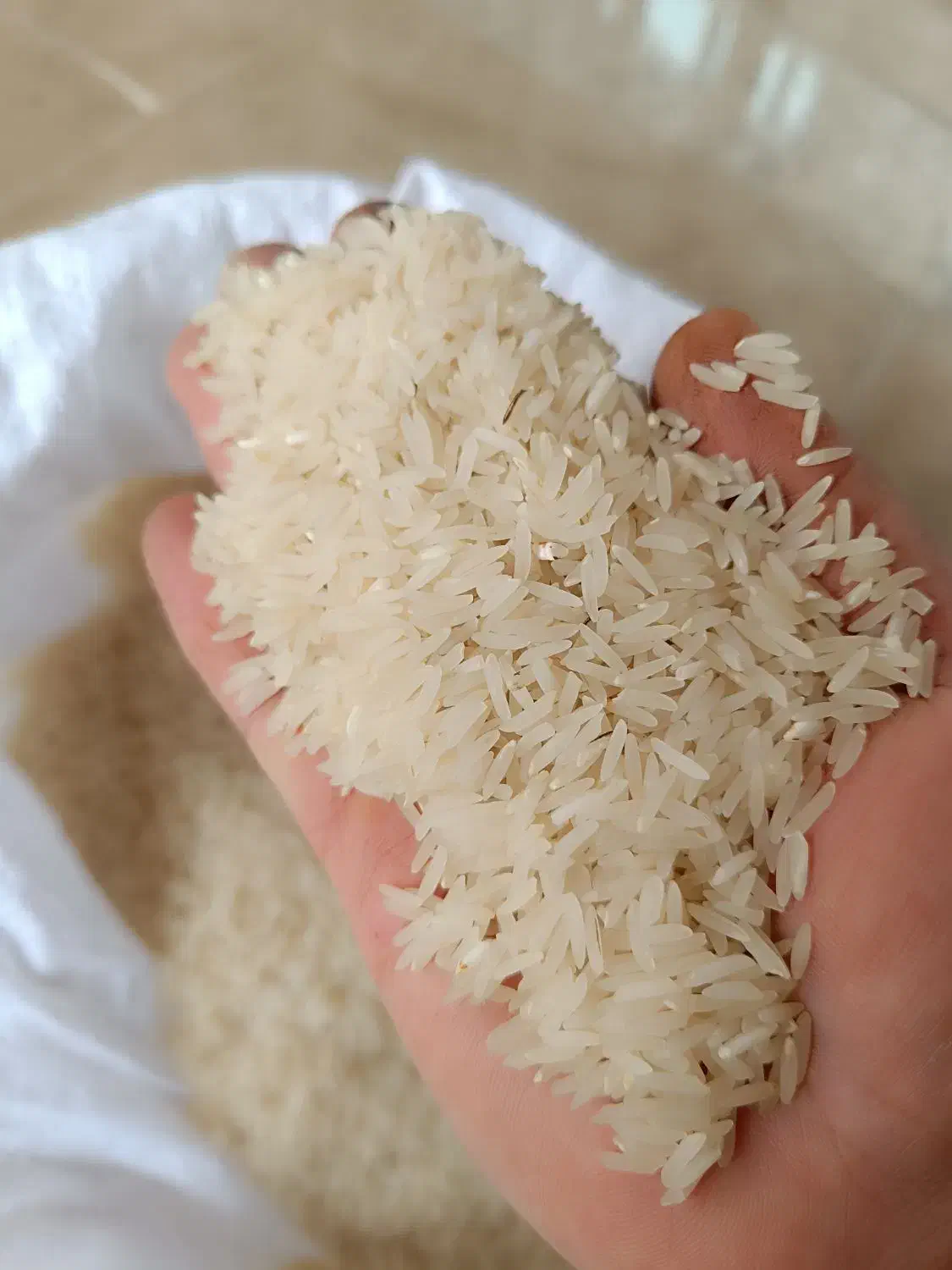 برنج فجر سوزنی و طارم هاشمی|خوردنی و آشامیدنی|گرگان, |دیوار